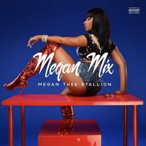 Megan Thee Stallion - Megan